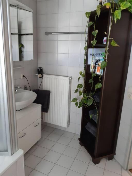 Tolle Wohnung in zentraler Lage in Neu-Ulm Exterior foto