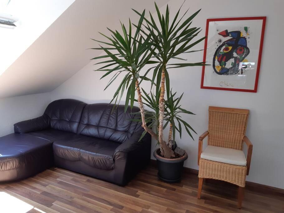 Tolle Wohnung in zentraler Lage in Neu-Ulm Exterior foto